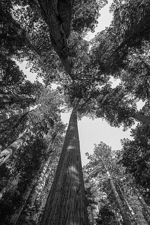 untitled-416