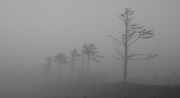 untitled-679
