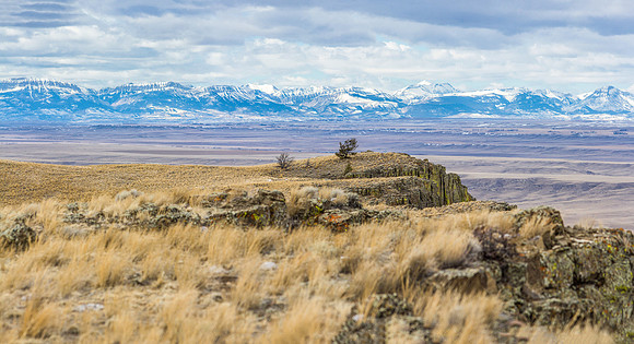 20150307-144025-IMG_6472_stitch-Edit
